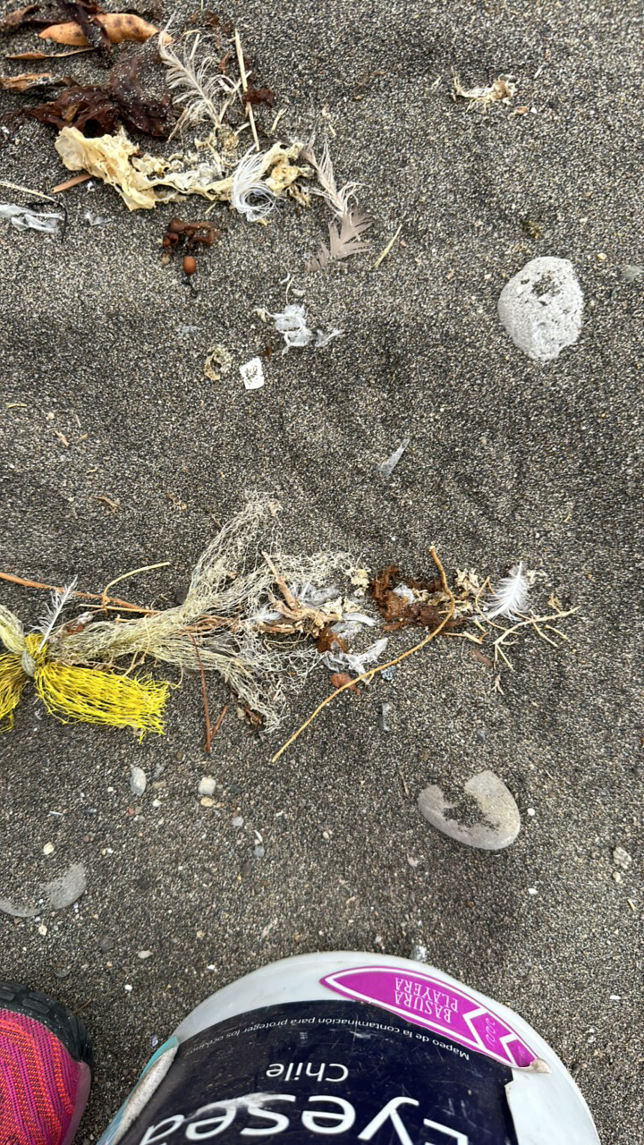 Ghost gear report — debris on shoreline