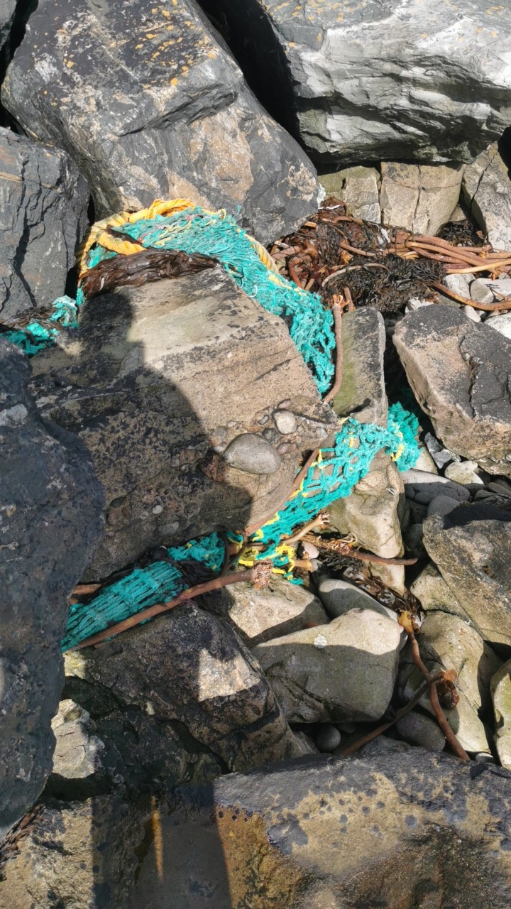 Ghost gear report — tangled fishing gear