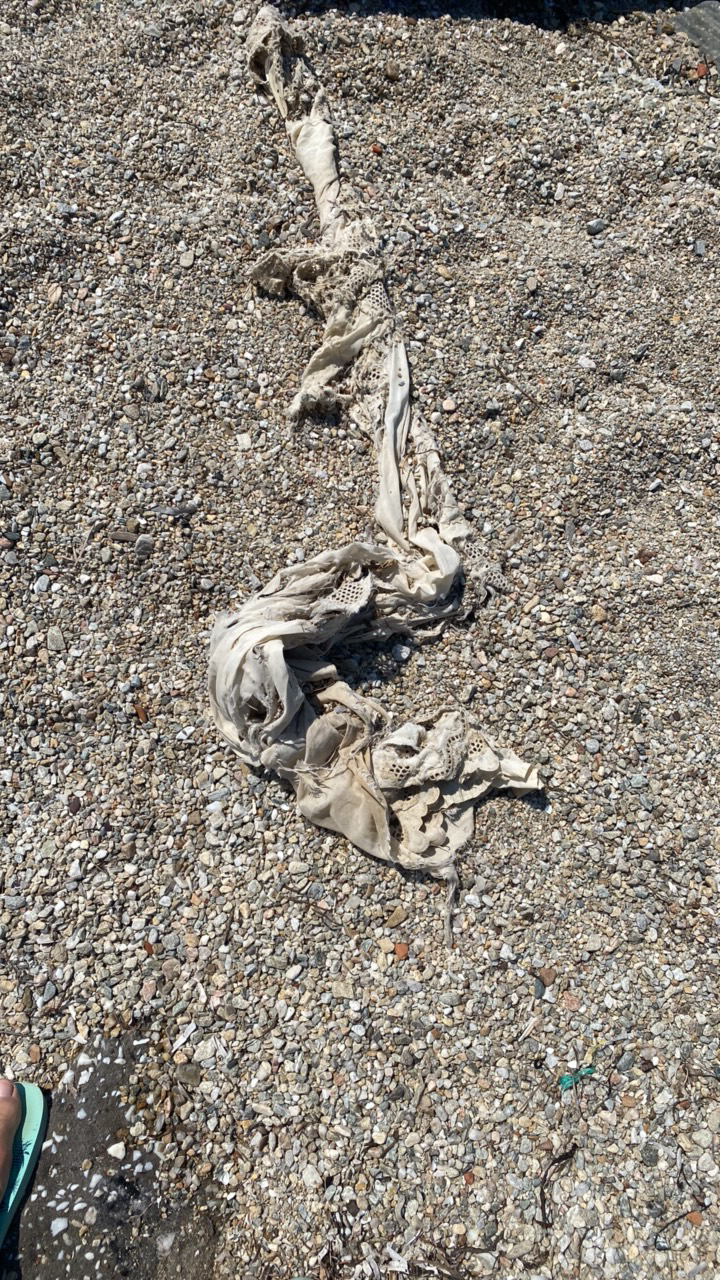 Ghost gear report — netting in sand