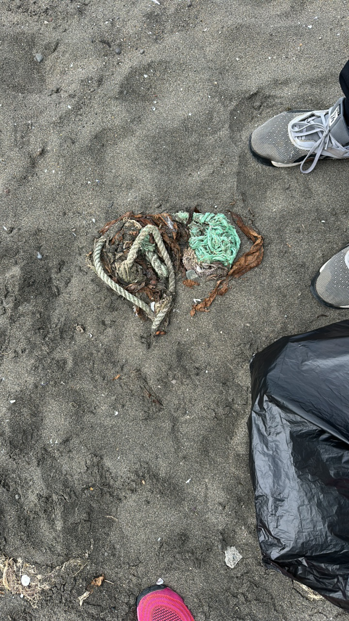 Ghost gear report — netting and rope on beach
