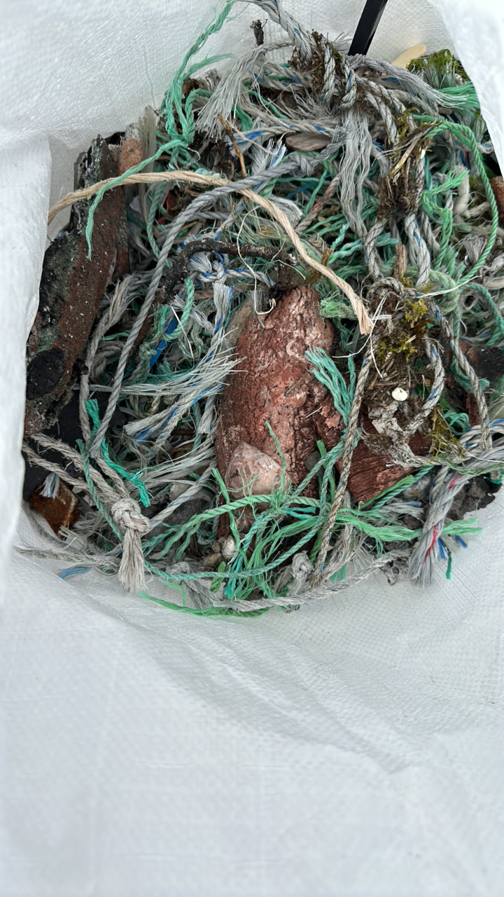 Ghost gear report — gear on beach